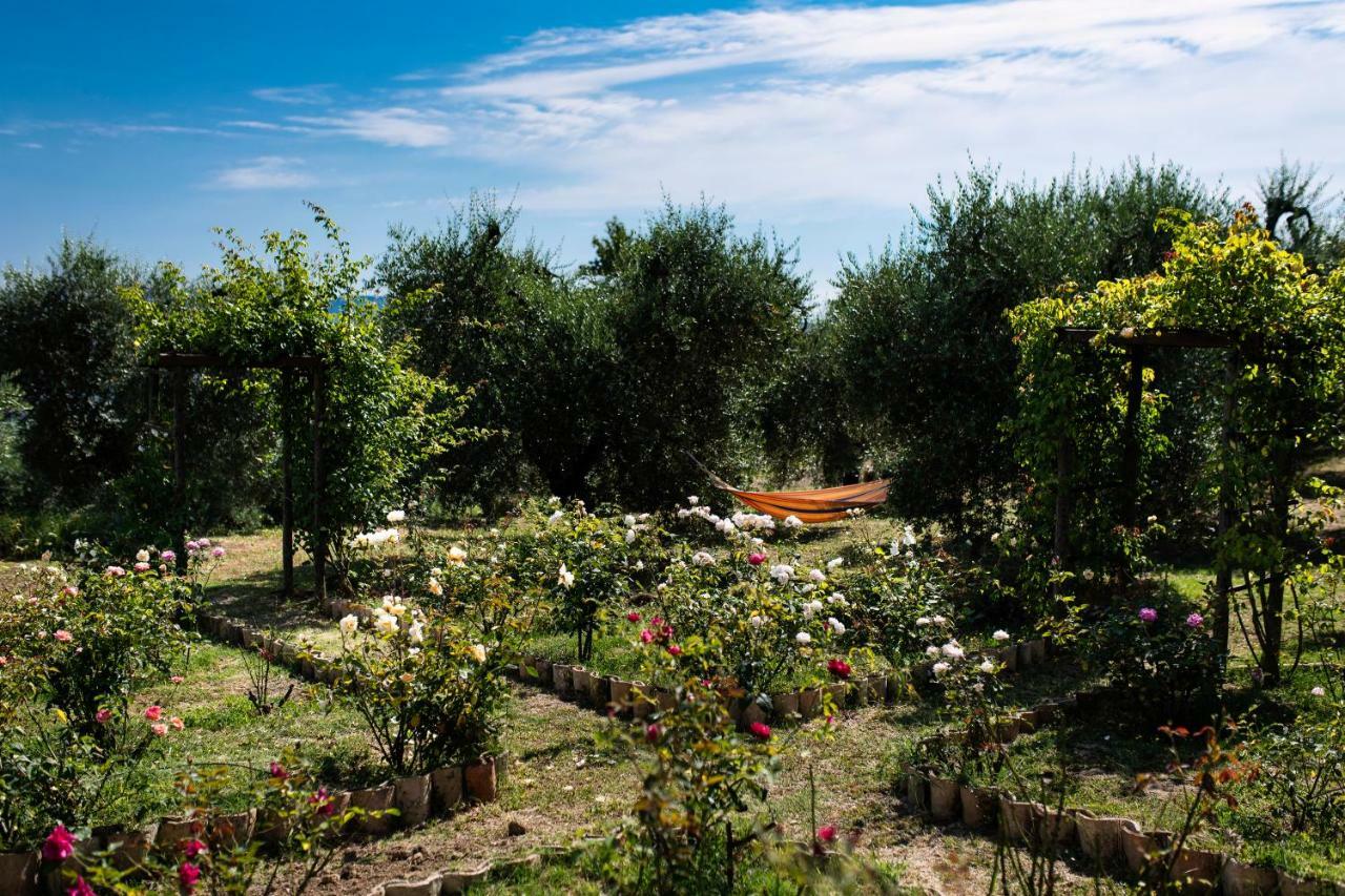 Orvieto Rocca Fiorita Hotel Buitenkant foto